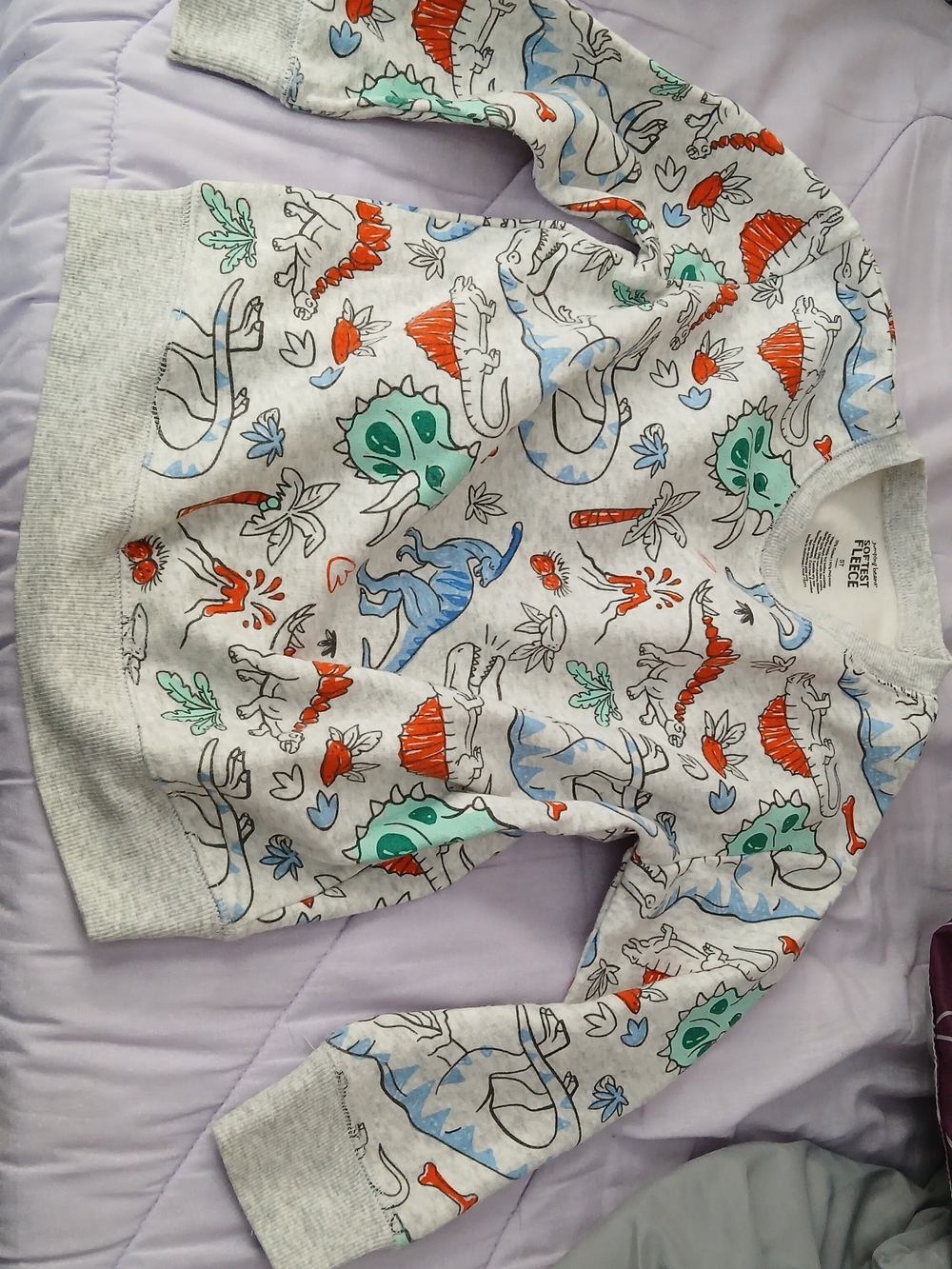 Kohl's Gray Kids’ Dino Print Sweatshirt